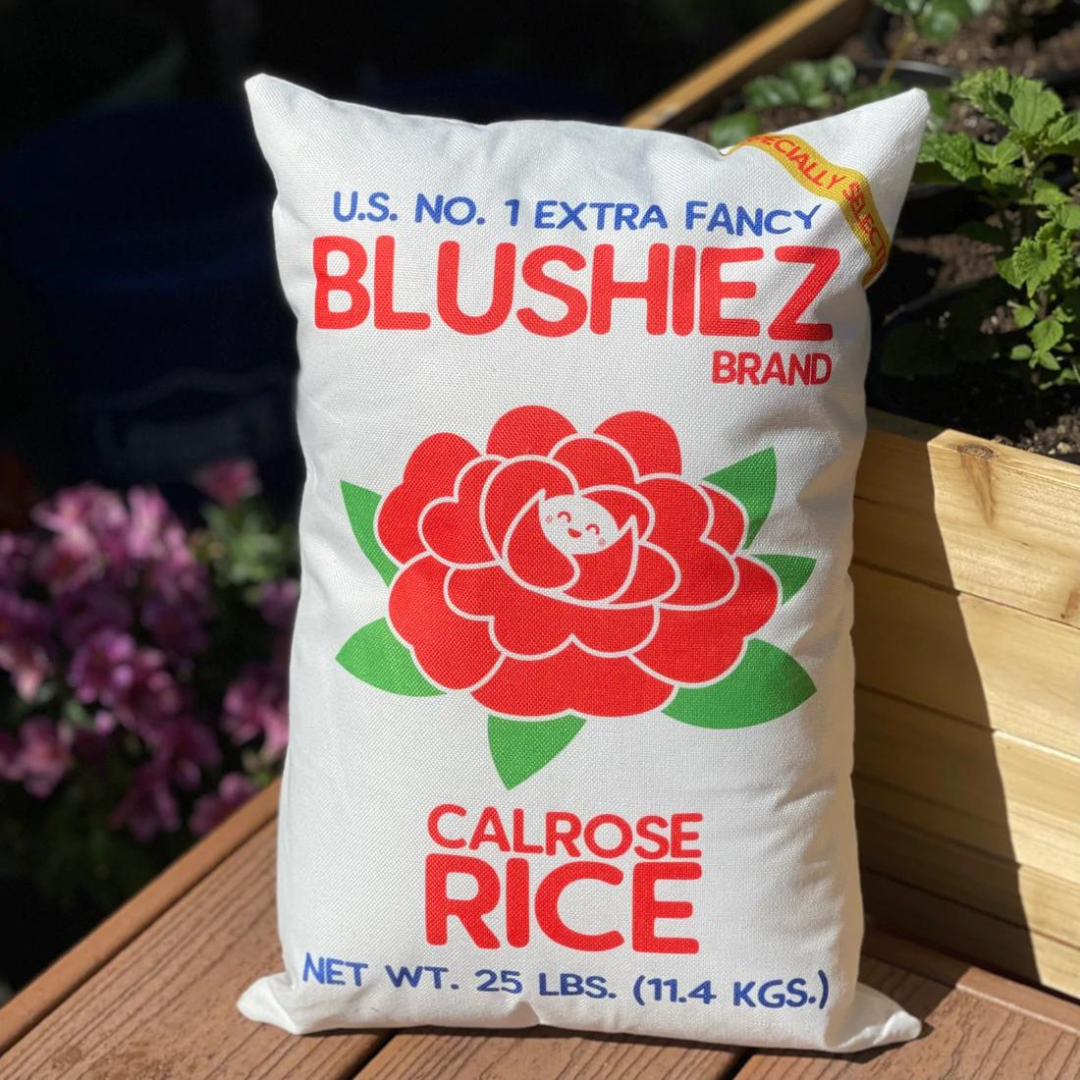 Calrose Rice Pillow